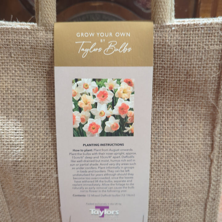 DAFFODIL JUTE GIFT BAG 12