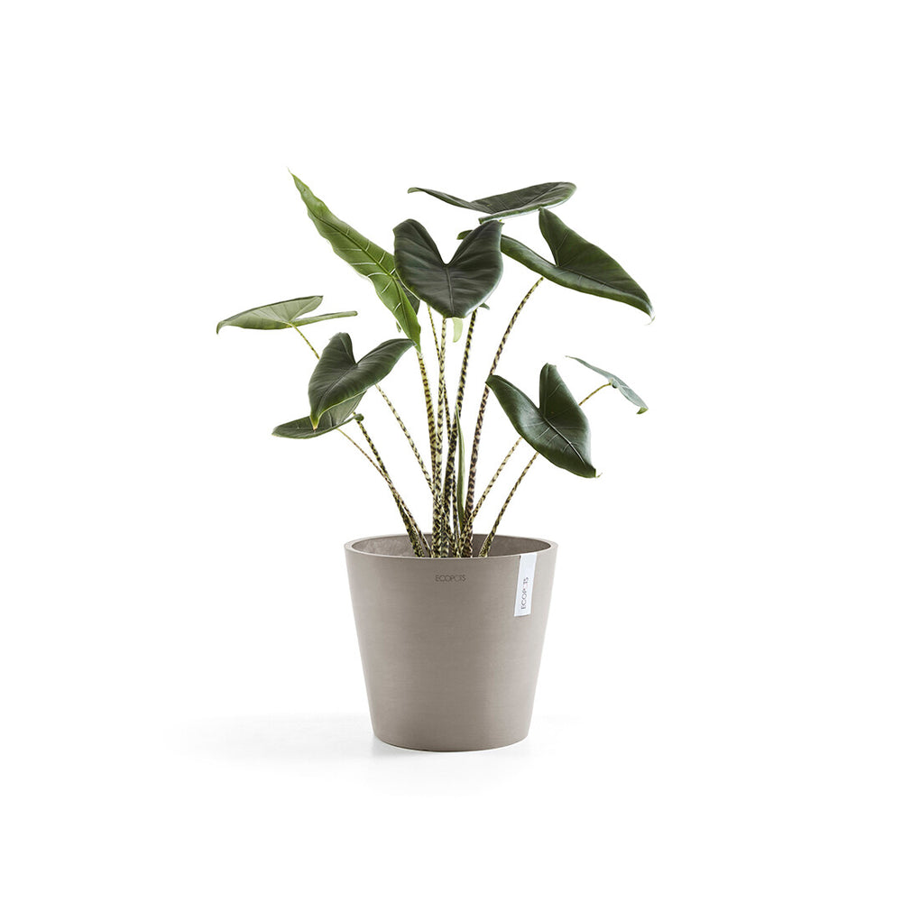 Ecopots Amsterdam Pot Taupe