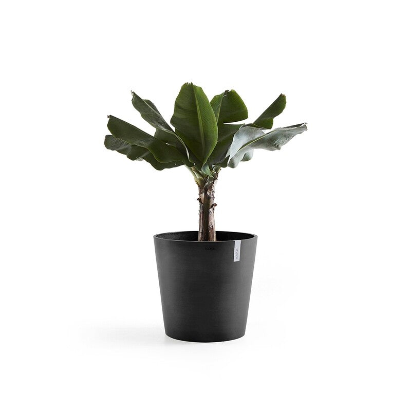 Amsterdam Ø60 Dark Grey - Pots - Windyridge Garden Centre