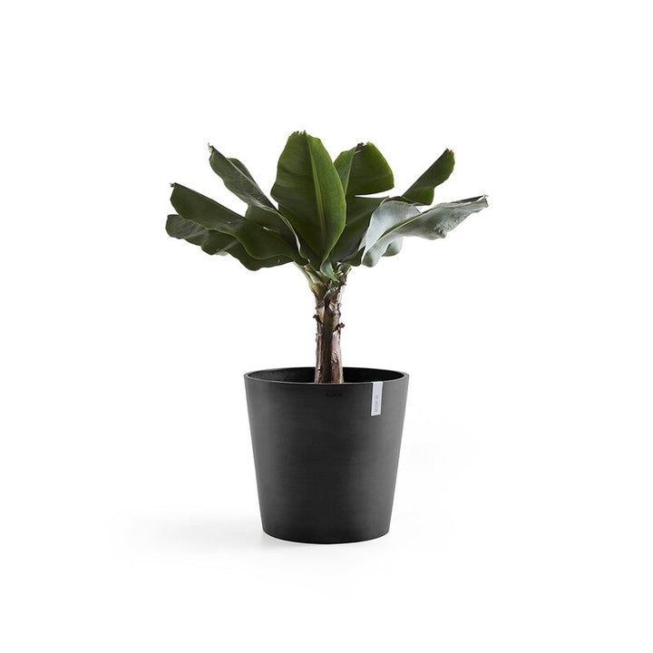 Ecopots Amsterdam Pot Dark Grey