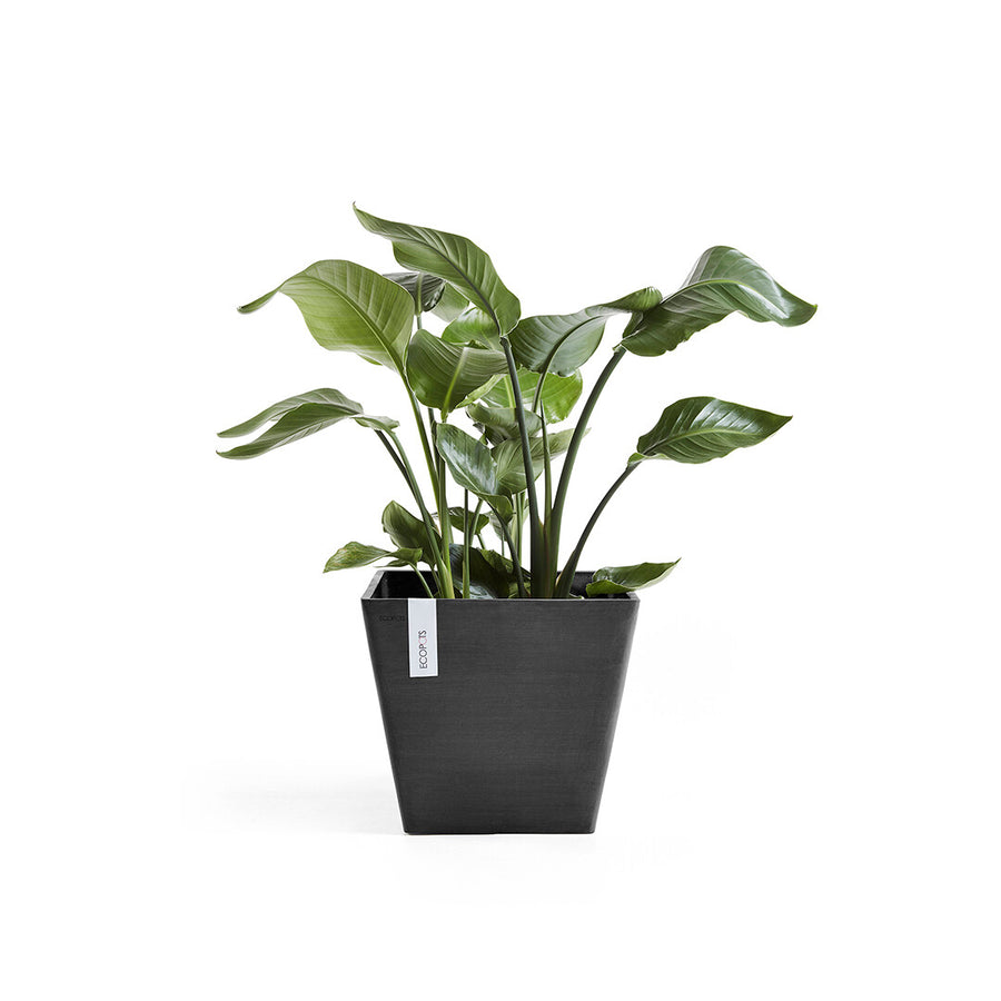 Ecopots Rotterdam 40 Dark Grey