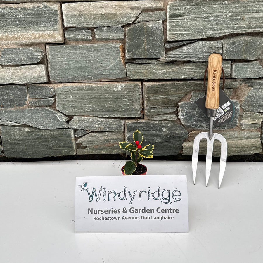 Decorative stone wall with gardening tools and a small plant against a white background.