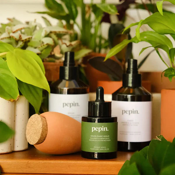 Plantcare Routine - Ferts And Chemicals - Windyridge Garden Centre