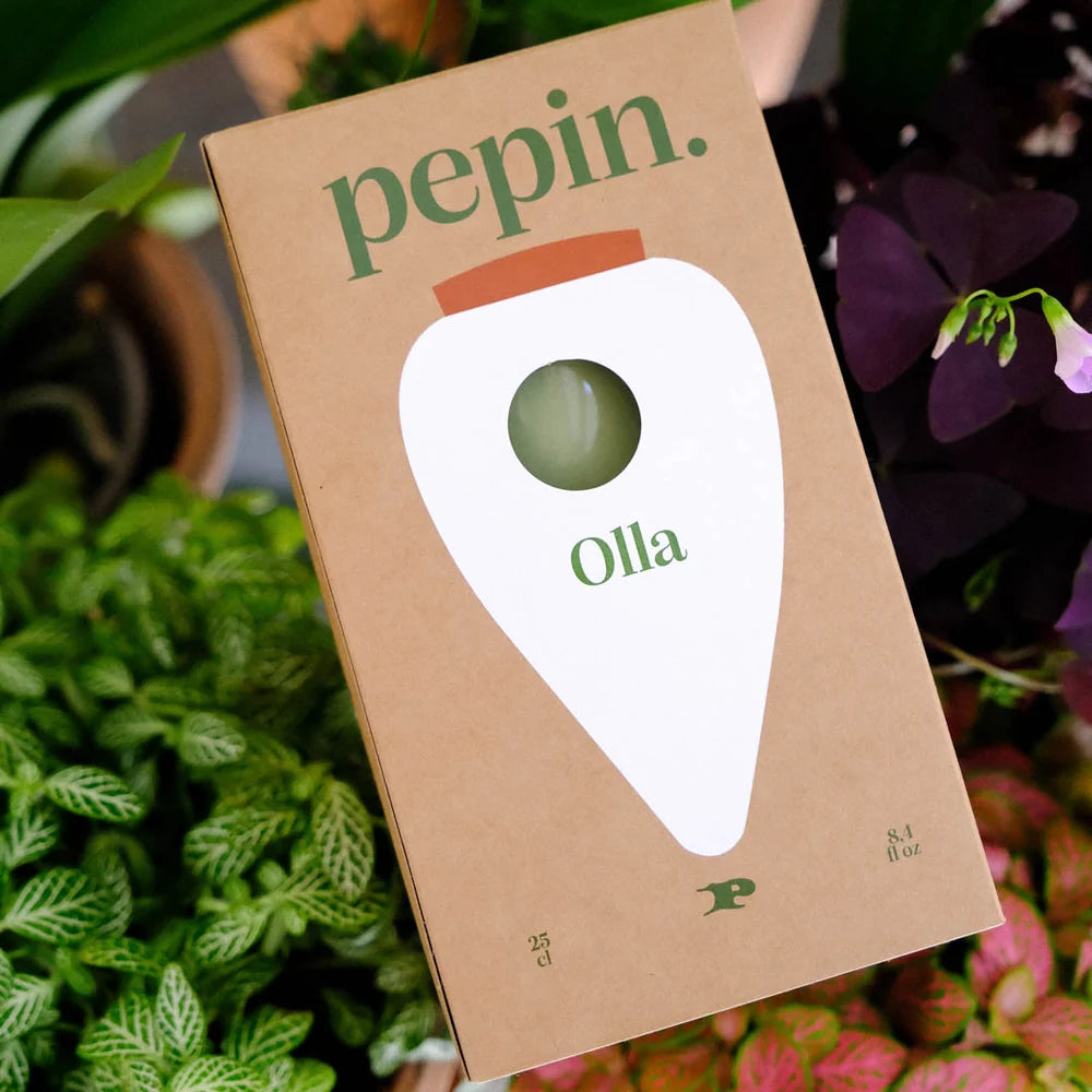Olla Green