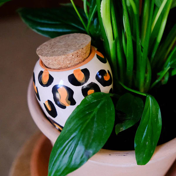 Hydrating Olla Leopard - Tools & Equipment - Windyridge Garden Centre