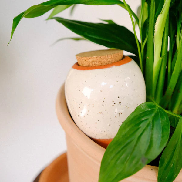 Hydrating Olla Speckled White - Tools & Equipment - Windyridge Garden Centre
