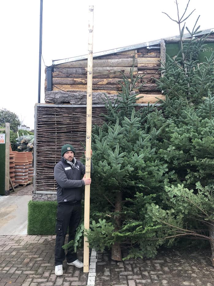 Christmas Tree Premium White/Red 12ft 14th