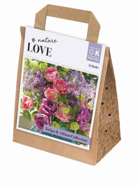 BOUQUET TULIPA & ALLIUM COLL x 25