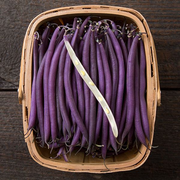 French Bean (Dwarf)  Celine - Seed Packets - Windyridge Garden Centre