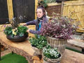 Windyridge Gardening for Beginners Tuesday Morning 10am (6 Week Course starts 13th May 2025)