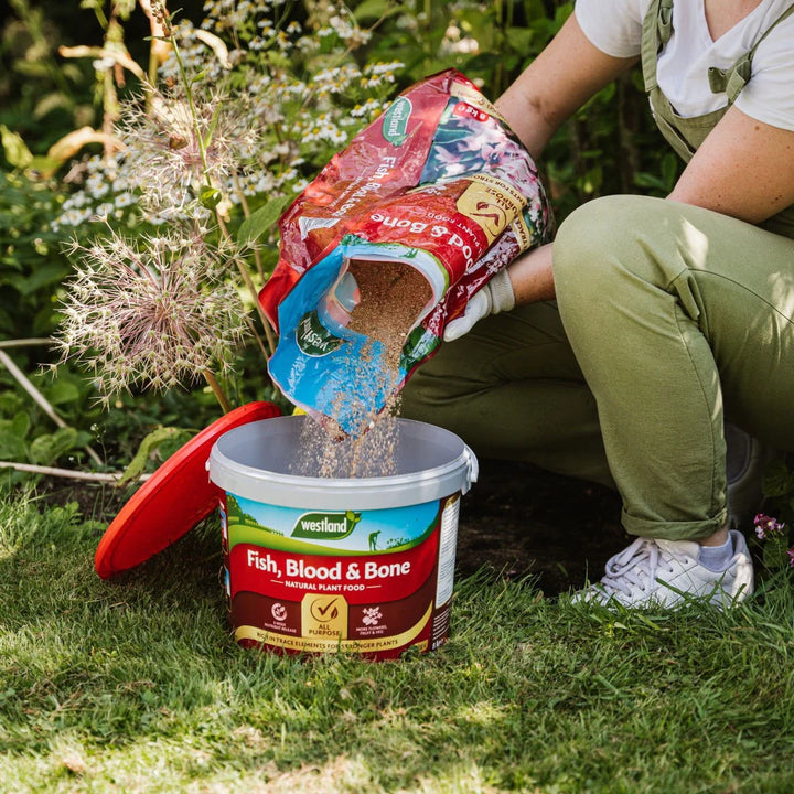 Fish, Blood & Bone 10Kg - Ferts And Chemicals - Windyridge Garden Centre