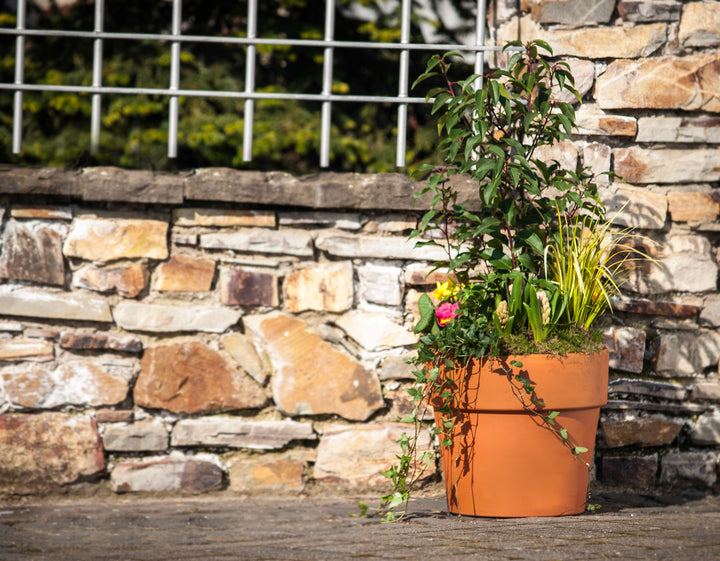 Terracotta Calima Pot
