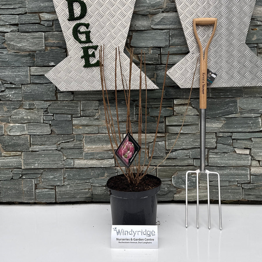 Decorative wall with 'Windyridge' branding, a potted plant and a tool.
