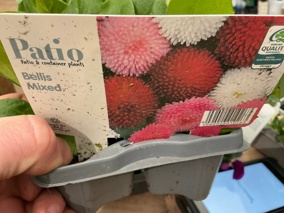 6 Pack Bedding Mcg3 - Bedding - Windyridge Garden Centre