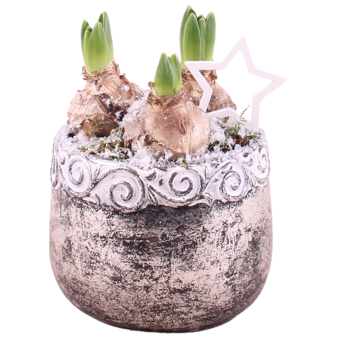 Arr. Hyacinth Ceramic Ornament Silver ø14cm 1PP