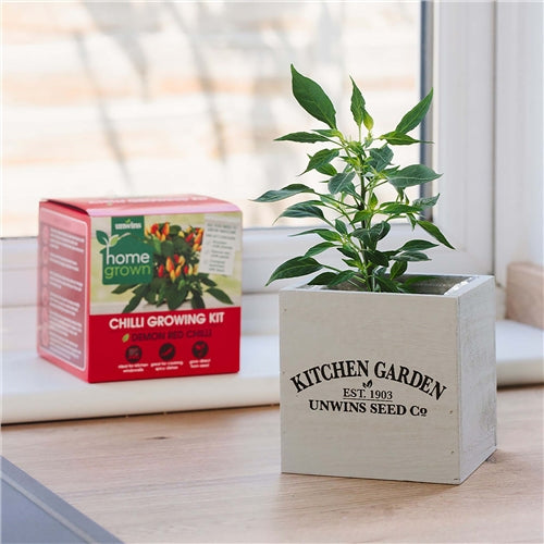 Homegrown Chilli Kitchen Garden Kit