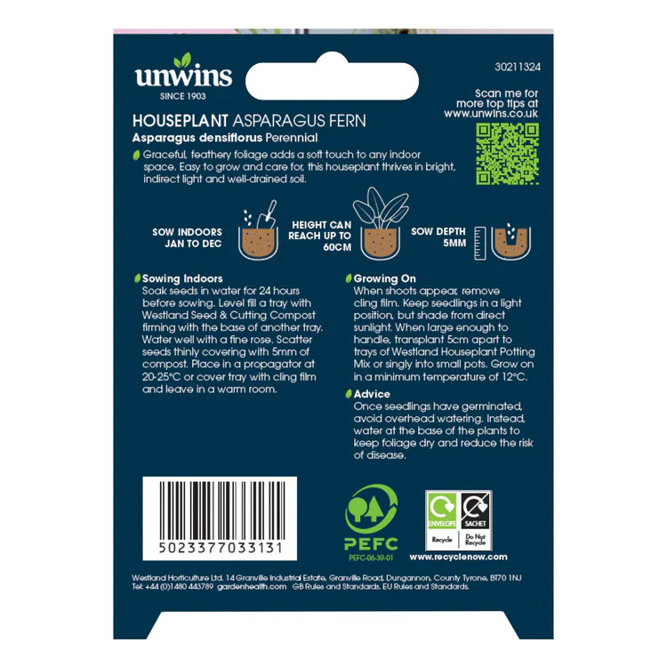 Houseplant Asparagus Fern - Seed Packets - Windyridge Garden Centre