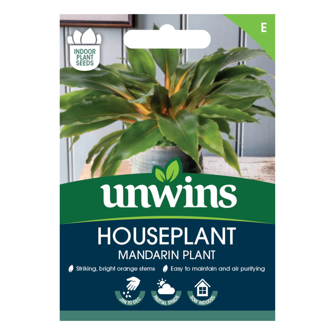 Houseplant Mandarin Plant  (Chlorophytum Orchidastrum) - Seed Packets - Windyridge Garden Centre