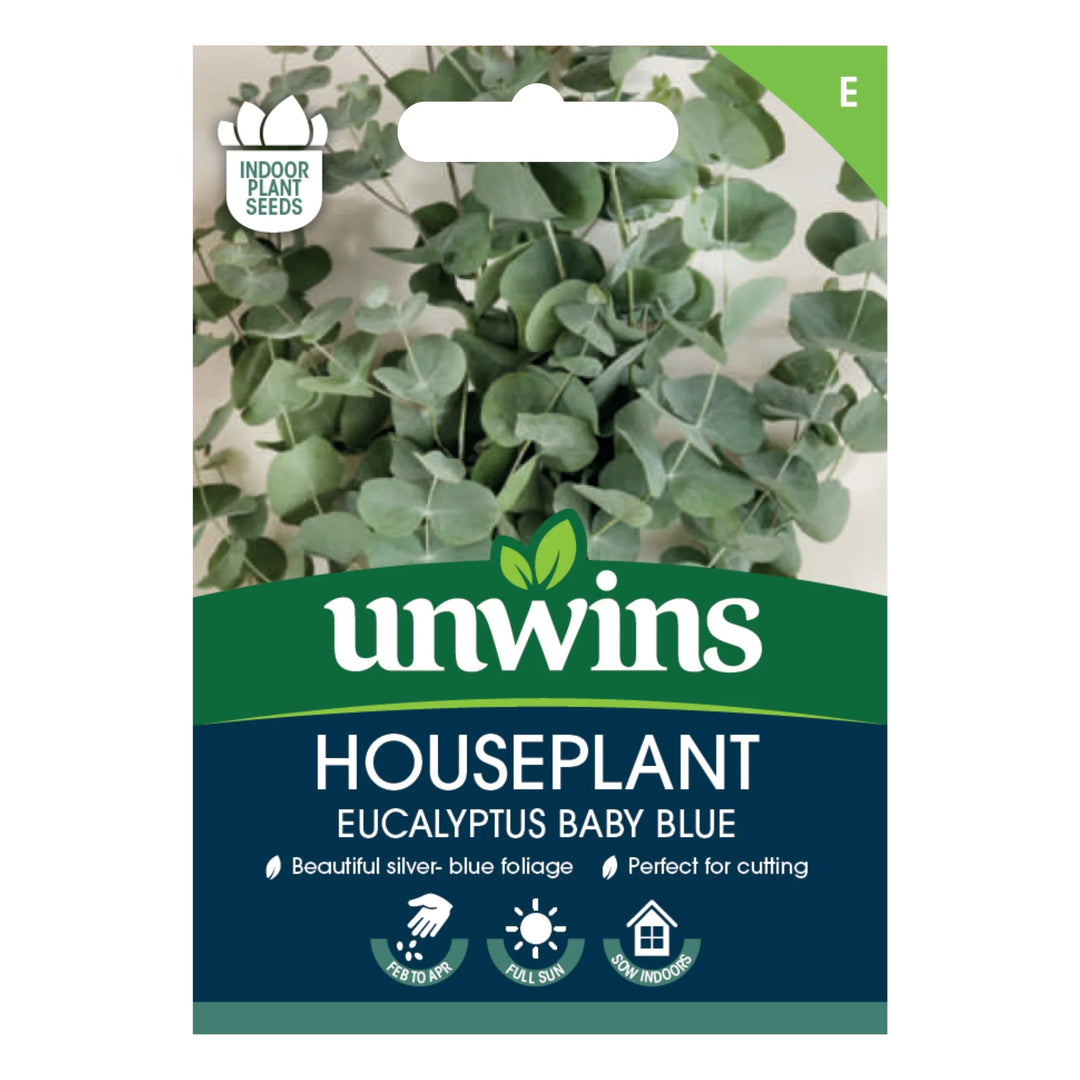 Unwins Houseplant Eucalyptus Baby Blue - Seed Packets - Windyridge Garden Centre