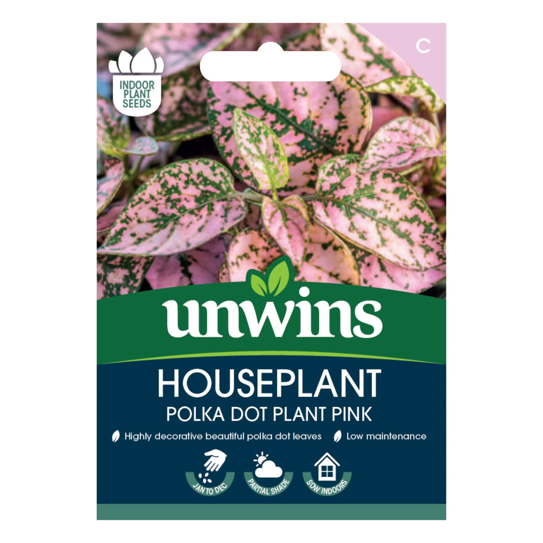 Unwins Houseplant Hypoestes Polka Dot Plant Pink - Seed Packets - Windyridge Garden Centre