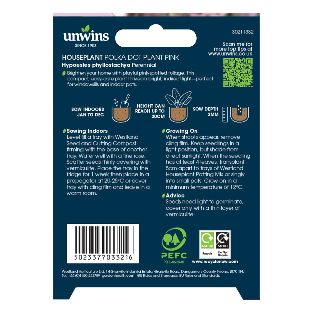 Unwins Houseplant Hypoestes Polka Dot Plant Pink - Seed Packets - Windyridge Garden Centre