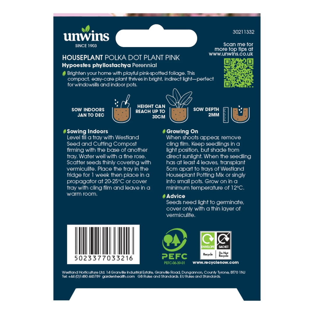 Unwins Houseplant Hypoestes Polka Dot Plant Pink - Seed Packets - Windyridge Garden Centre