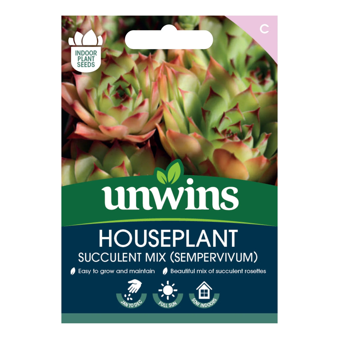 Unwins Houseplant Succulent Mix (Sempervivum) - Seed Packets - Windyridge Garden Centre