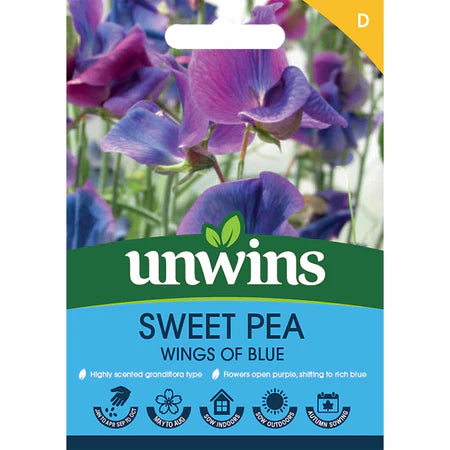 Sweet Pea Wings Of Blue - Seed Packets - Windyridge Garden Centre