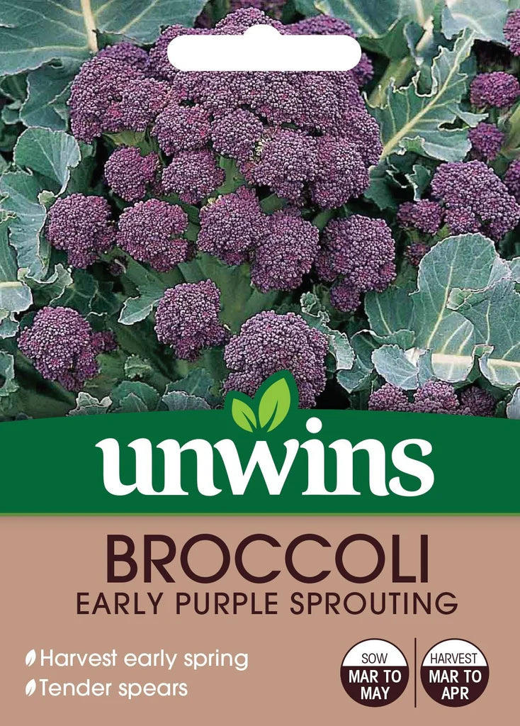 Broccoli Early Purple Sprouting - Seed Packets - Windyridge Garden Centre