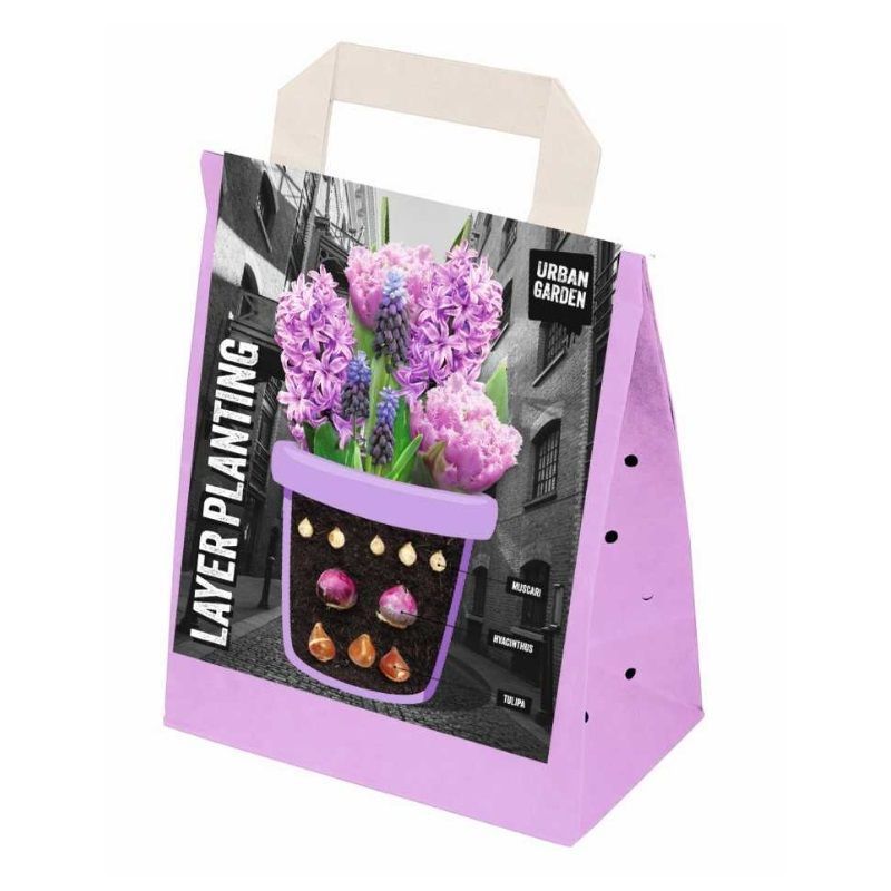 LAYER PLANTING PURPLE x25