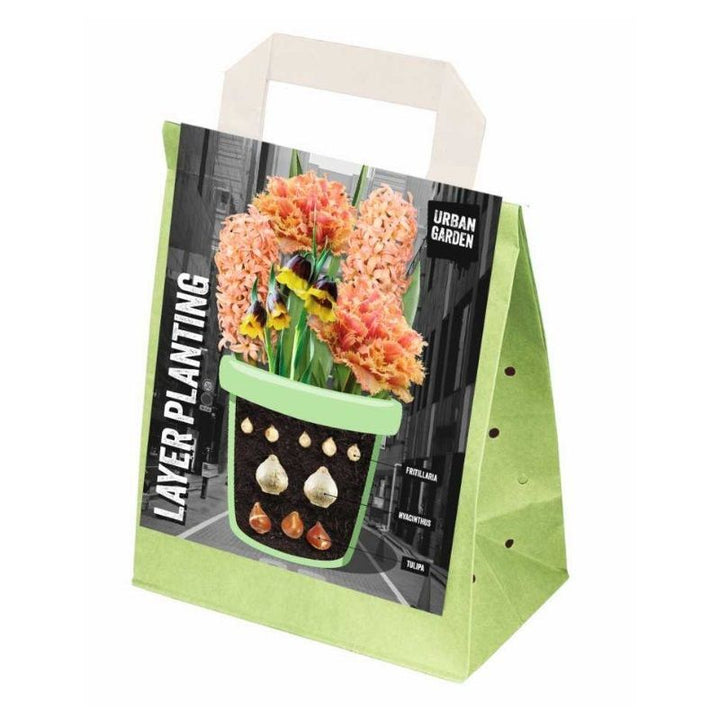 LAYER PLANTING ORANGE x 25