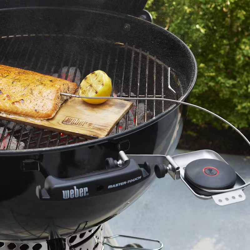 Weber Smart Probe and Grate Sensor