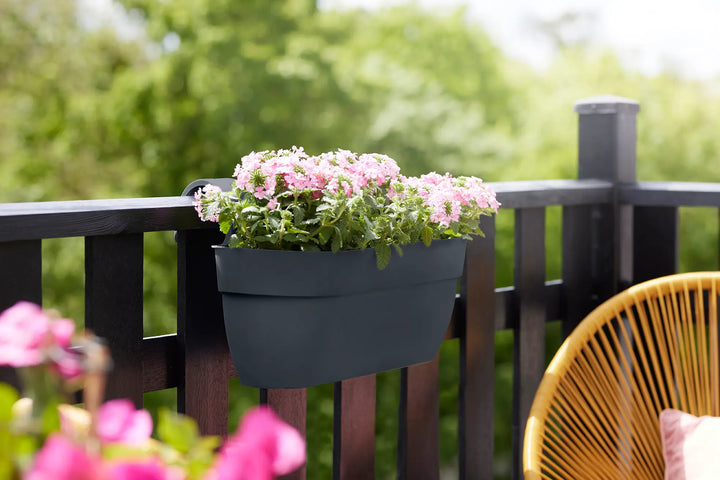 Vibia Campana Easy Hanger Trough Medium Anthracite - Pots - Windyridge Garden Centre