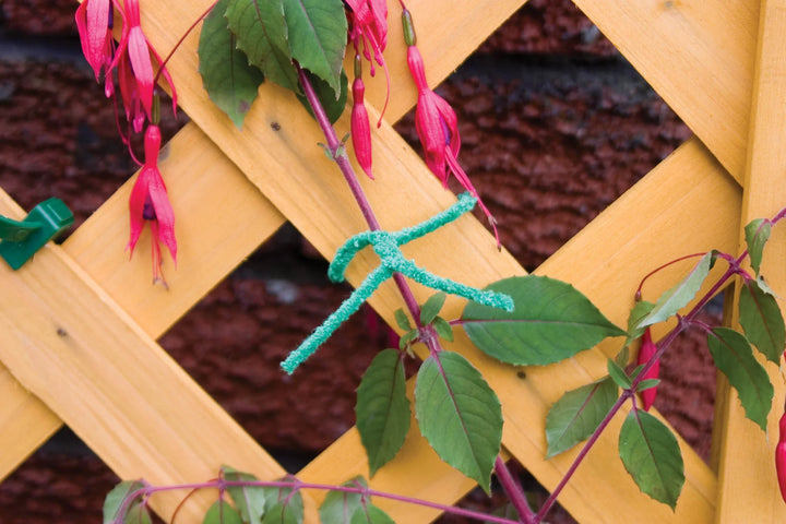 PLANT TIES SOFT