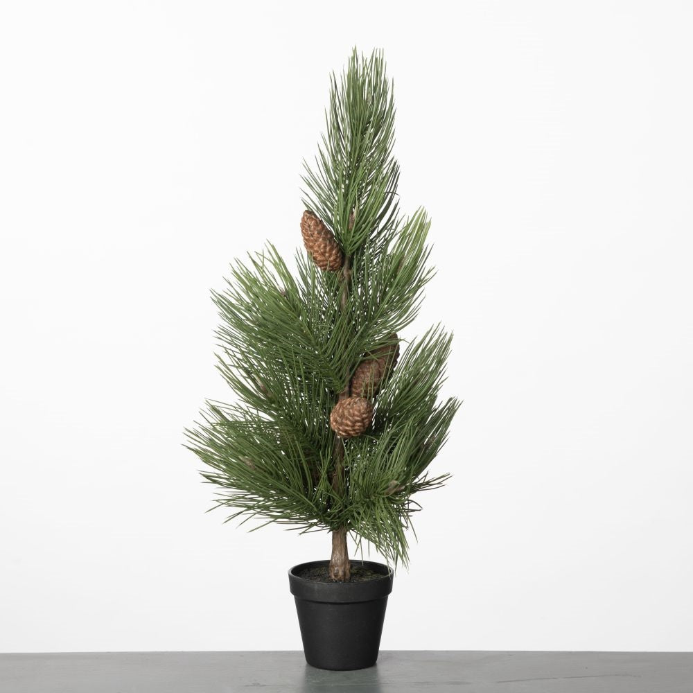 Pine Cone Tree in pot H68cm Green