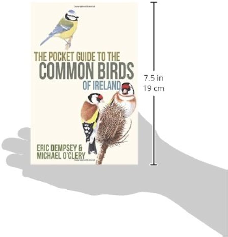 Pocket Guide to the Common Birds of Ireland - Books and Magazines - Windyridge Garden Centre
