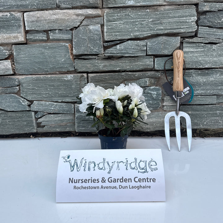 Decorative garden tool and flowers against a stone wall with Windyridge Nursery & Garden Centre sign.