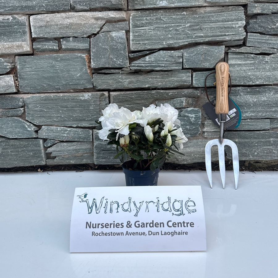 Decorative garden tool and flowers against a stone wall with Windyridge Nursery & Garden Centre sign.