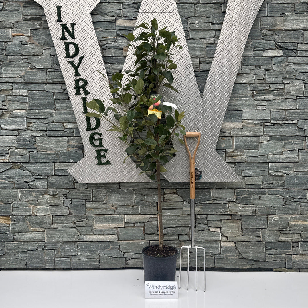 Decorative letters spelling 'WINDYRIDGE' with plants on a stone wall background