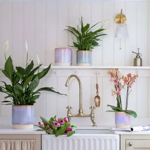 Copenhagen Two Tone Pink Planter H15.5cm Ø15cm