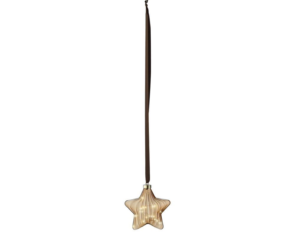 Micro Led Star Steady Bo Indoor Brown/Warm White L.6.5Cm X W.20Cm X H.20Cm - Christmas Lights - Windyridge Garden Centre