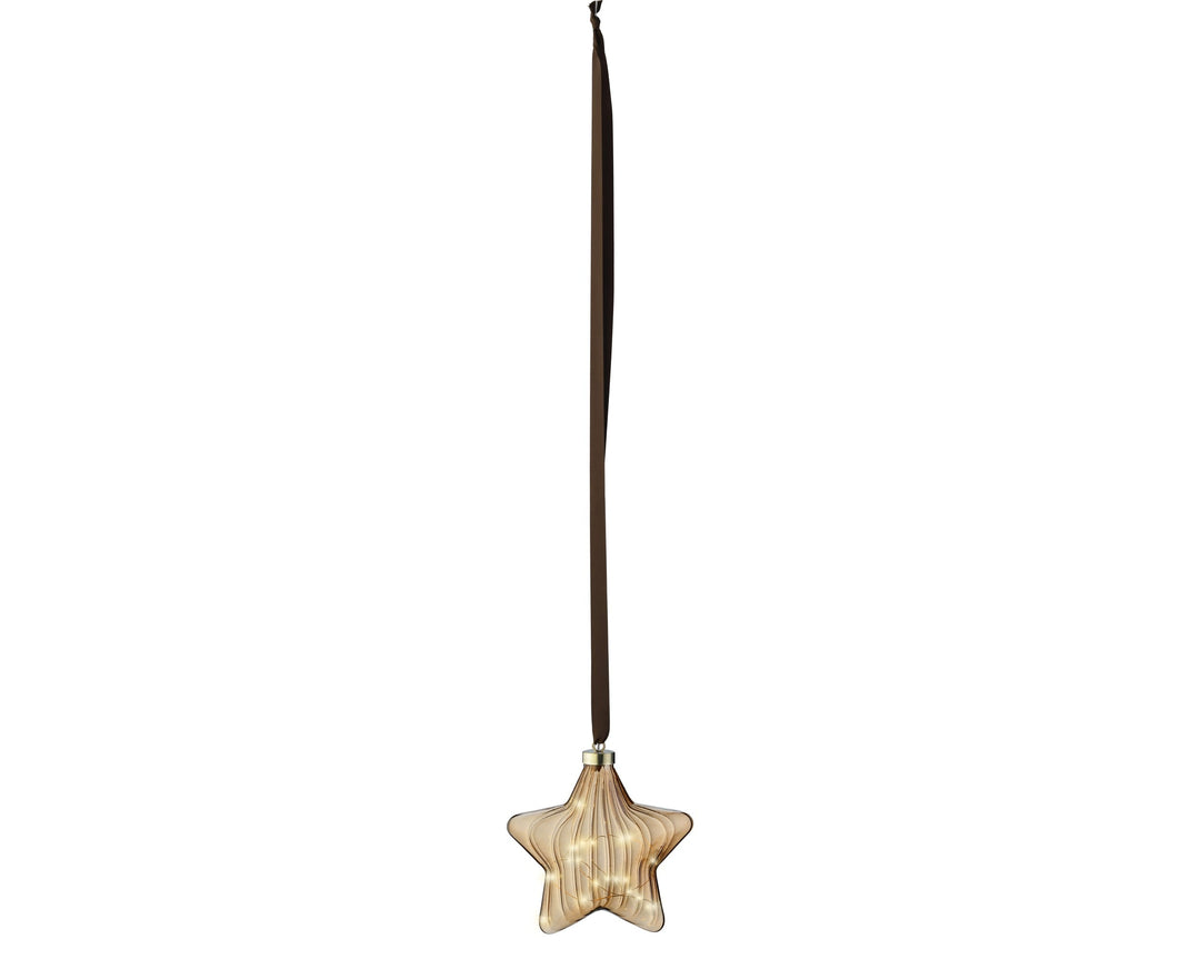 Micro Led Star Steady Bo Indoor Brown/Warm White L.6.5Cm X W.20Cm X H.20Cm - Christmas Lights - Windyridge Garden Centre