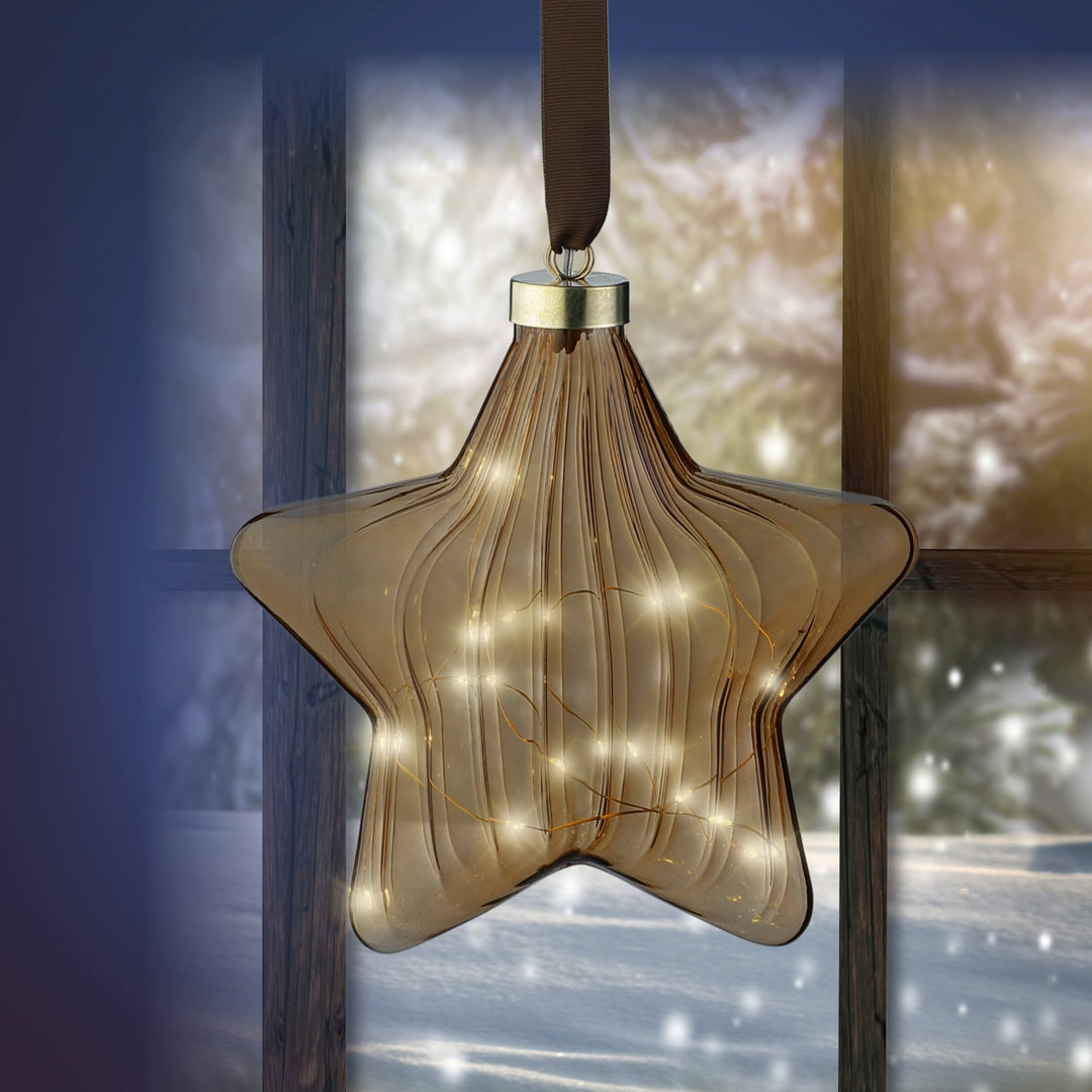 Micro Led Star Steady Bo Indoor Brown/Warm White L.6.5Cm X W.20Cm X H.20Cm - Christmas Lights - Windyridge Garden Centre