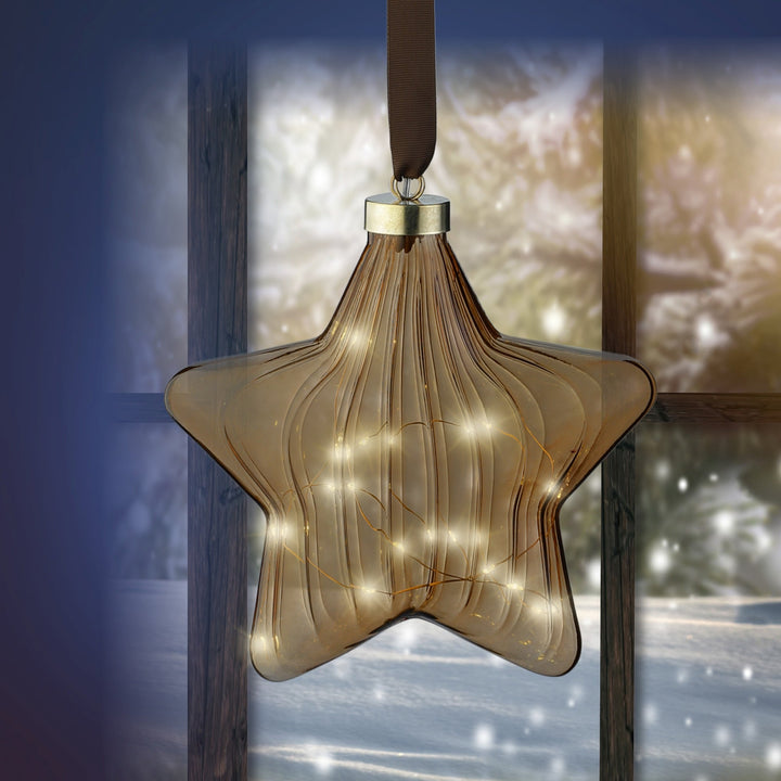 Micro Led Star Steady Bo Indoor Brown/Warm White L.6.5Cm X W.20Cm X H.20Cm - Christmas Lights - Windyridge Garden Centre