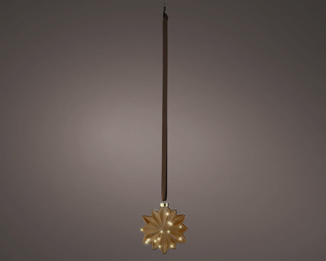 Micro Led Flower Steady Bo Indoor Brown/Warm White L.8Cm X W.19Cm X H.19Cm - Christmas Lights - Windyridge Garden Centre