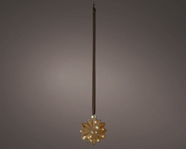 Micro Led Flower Steady Bo Indoor Brown/Warm White L.8Cm X W.19Cm X H.19Cm - Christmas Lights - Windyridge Garden Centre