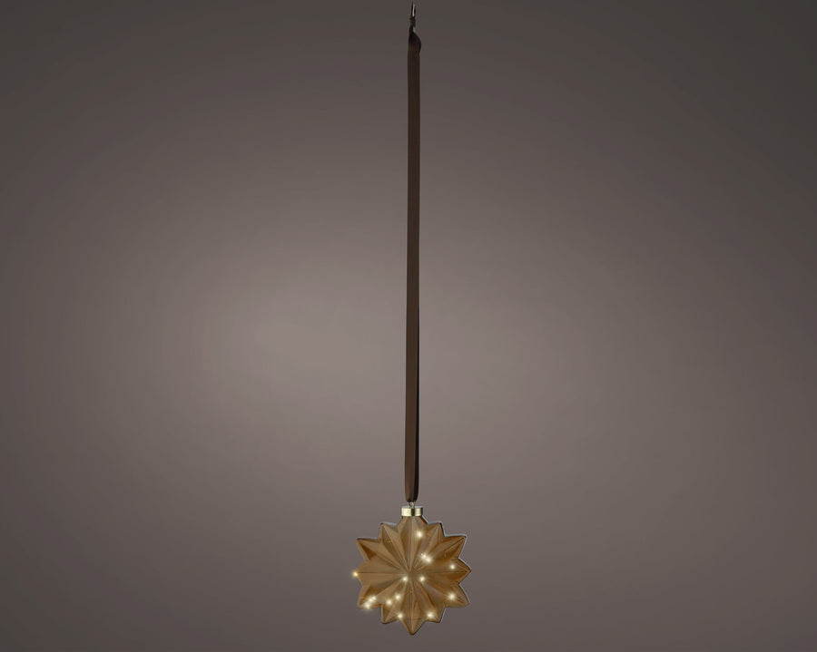 Micro Led Flower Steady Bo Indoor Brown/Warm White L.8Cm X W.19Cm X H.19Cm - Christmas Lights - Windyridge Garden Centre