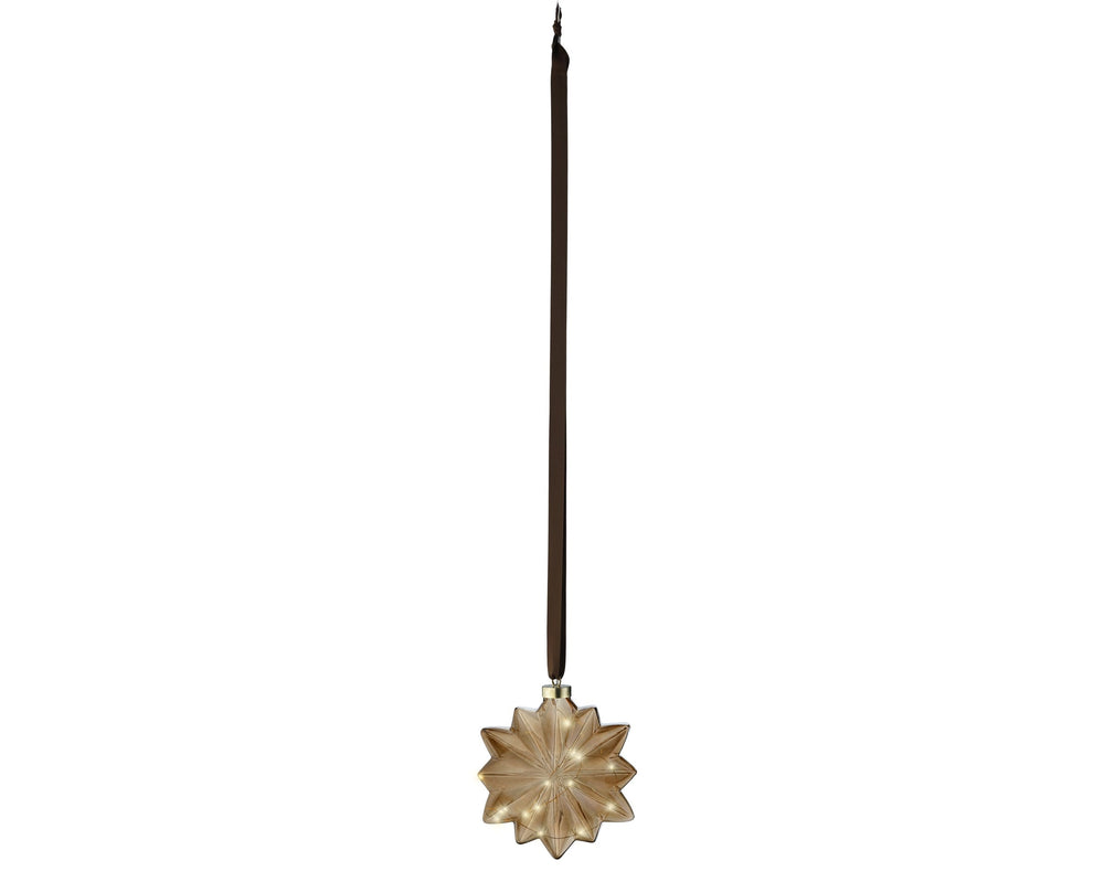 Micro Led Flower Steady Bo Indoor Brown/Warm White L.8Cm X W.19Cm X H.19Cm - Christmas Lights - Windyridge Garden Centre