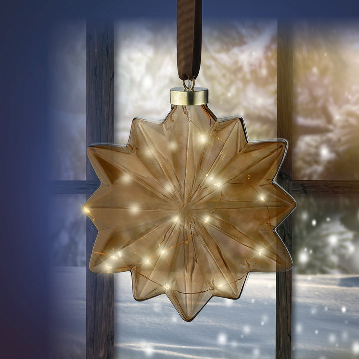Micro Led Flower Steady Bo Indoor Brown/Warm White L.8Cm X W.19Cm X H.19Cm - Christmas Lights - Windyridge Garden Centre