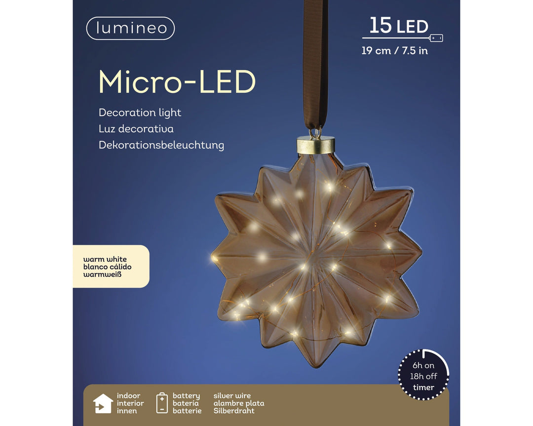 Micro Led Flower Steady Bo Indoor Brown/Warm White L.8Cm X W.19Cm X H.19Cm - Christmas Lights - Windyridge Garden Centre